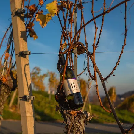 Bed & Breakfast Weingut Hernach Vlg Roschitz *