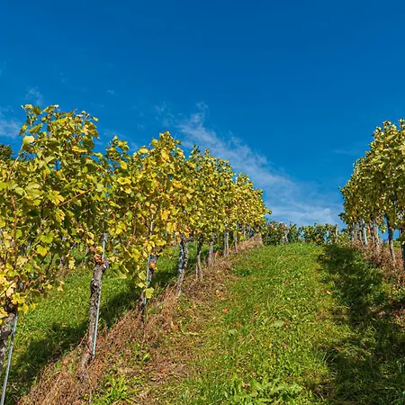 Weingut Hernach Vlg Roschitz