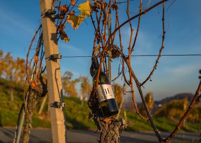 Bed and Breakfast Weingut Hernach Vlg Roschitz *