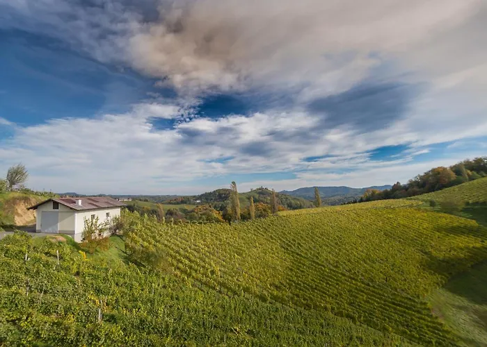 Bed and Breakfast Weingut Hernach Vlg Roschitz