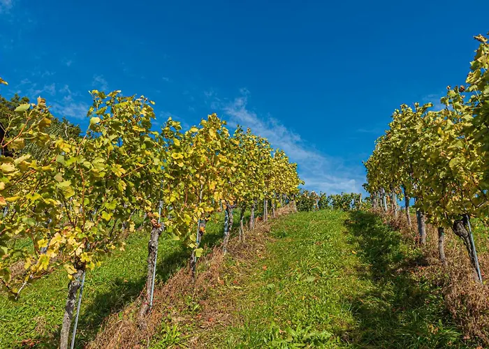 Weingut Hernach Vlg Roschitz