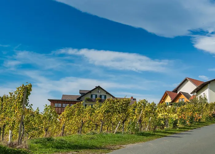 Weingut Hernach Vlg Roschitz Bed & Breakfast *